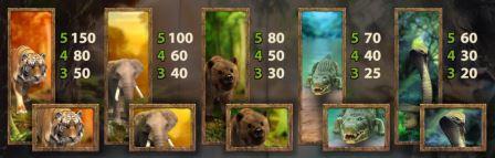 выигрышные символы игрового автоматы jungle spirit