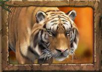 символ тигра наиболее ценный в игровом автомате дух джунглей