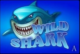 Wild shark slot