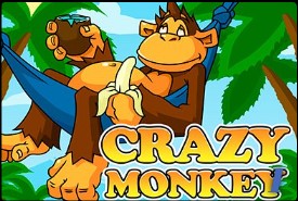 Crazy monkey slot